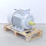 Electric motor 30 kW J14120736 
