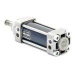 Pneumatic cylinder