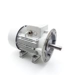 Three-phase Motor 1 LA91664KA11