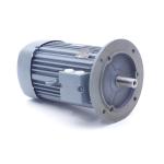 Three-phase motor IE2-WE1R 100 L 4 TPM140