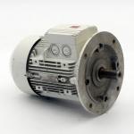 Three-phase Motor