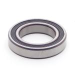 Ball Bearing 6011-2RS1 