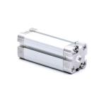 Pneumatic cylinder  