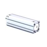 Pneumatic cylinder R480178261