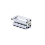 Pneumatic cylinder R422001162