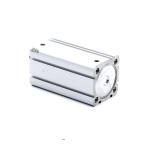 Pneumatic cylinder R422001238