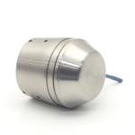 Lecksonde