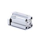 Pneumatic cylinder  