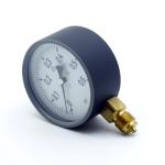 Pressure Gauge D100 