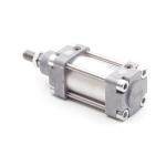 Normzylinder DNG-50-25-PPV-A