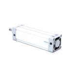Normzylinder DNC-100-250-PPV-A
