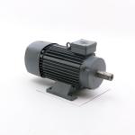 Three-phase Motor  