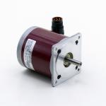 Step Motor