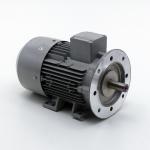 Three-phase Motor