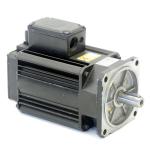 Servo motor