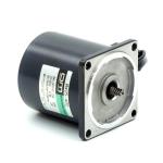 Speed Control Motor