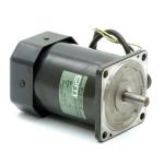 Induction Motor 