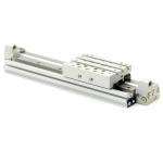Rodless cylinder RTC-DA-016-0200-HD-M 