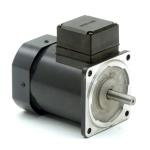 Induction Motor 