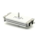 Compact rotary actuator