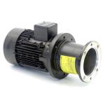 Low-voltage motor