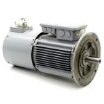 Three-phase motor with fan