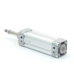 Pneumatic cylinder