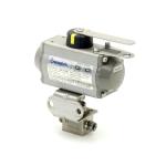 Pneumatic control head 