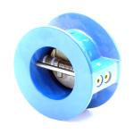Check Valve