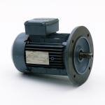 Three Phase Motor