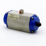 Pneumatic actuator 