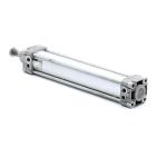Compact Cylinder 50 x 250 
