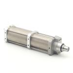 Pneumatic cylinder