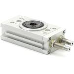 Semi-rotary drive DRRD-16-180-FH-Y9A 