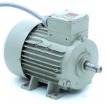 Drehstrommotor 1 LA7083-6AA10-Z