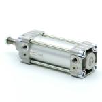 Pneumatic cylinder 