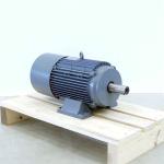 three-phase motor DV132S8/4/BMG/HR/TF/AMB1 