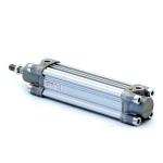 Pneumatic cylinder