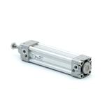 Pneumatic cylinder