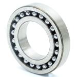 Pendel Ball Bearing