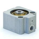 Pneumatic cylinder