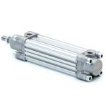 Pneumatic cylinder