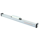 Linear module