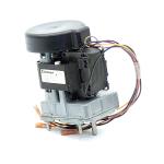 Gear motor 