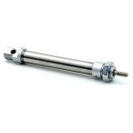 Standard cylinder DSNU-20-100-P-A
