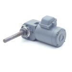 Gear motor 