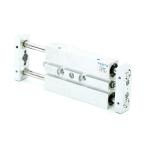 Double piston cylinder 159954 