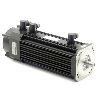 Servo motor 