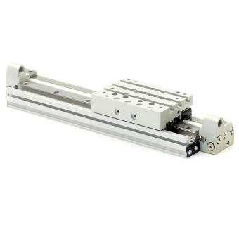 Rodless cylinder RTC-DA-016-0200-HD-M 