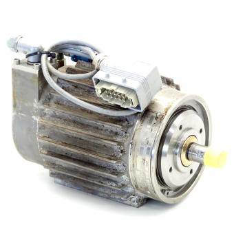 Electric rotary drive 